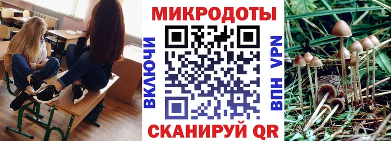 Галлюциногенные грибы прущие грибы  Купить закладки  Елабуга 